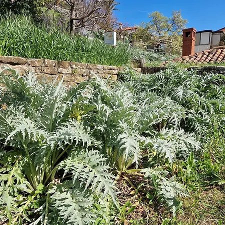 Seaview Manzoni בפורטורוז