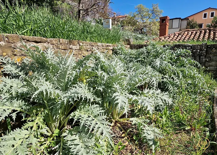 Seaview Manzoni בפורטורוז